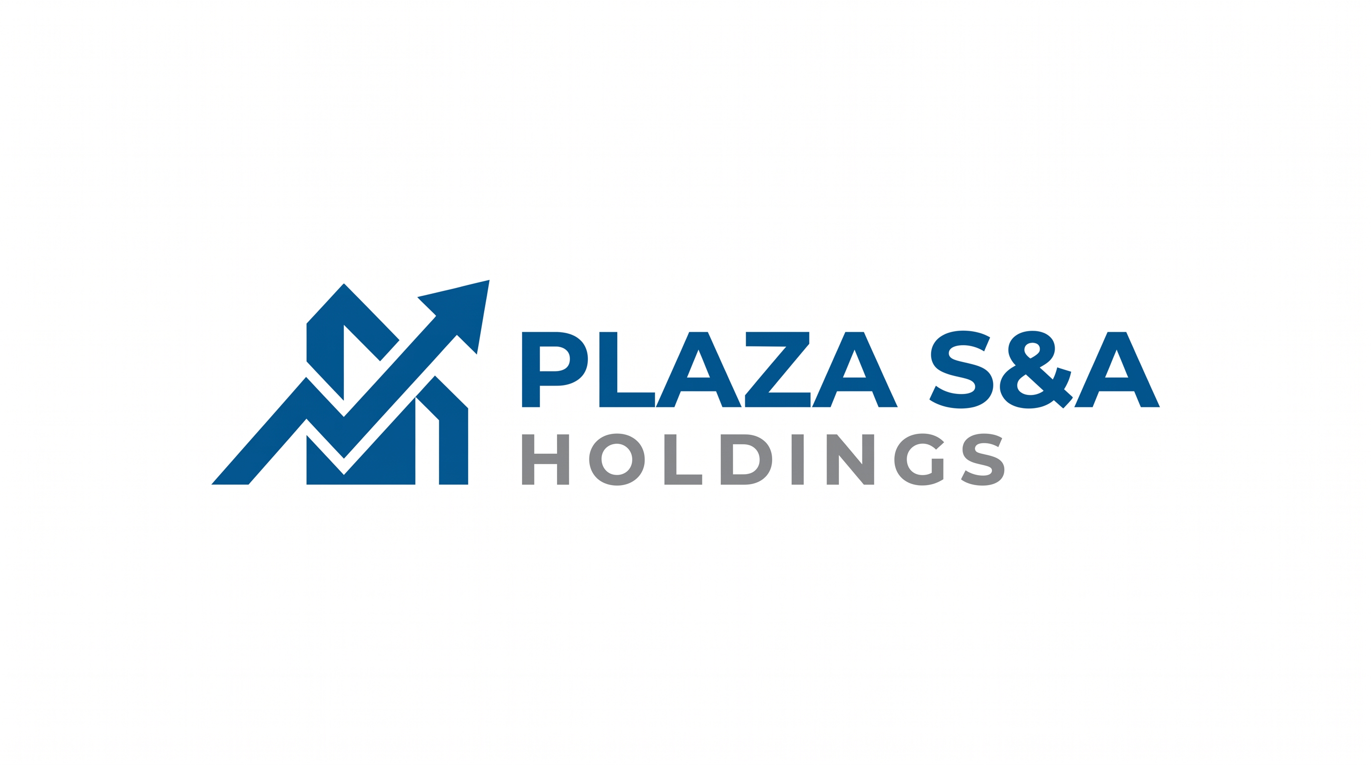 PLAZA S&A HOLDINGS